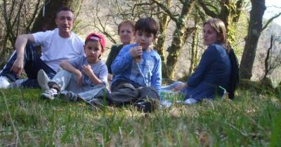 PICNIC